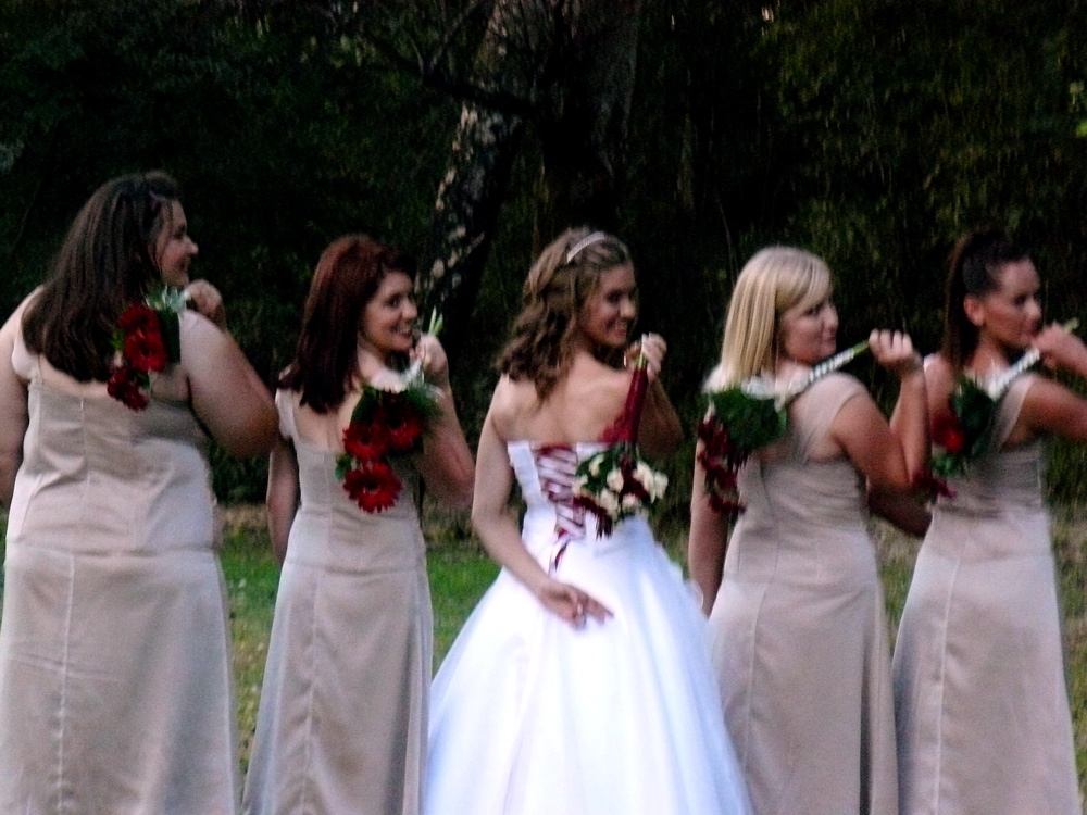 Bridal Party picture
